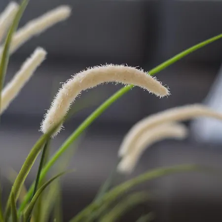 公寓 Barca 科斯塔卡玛